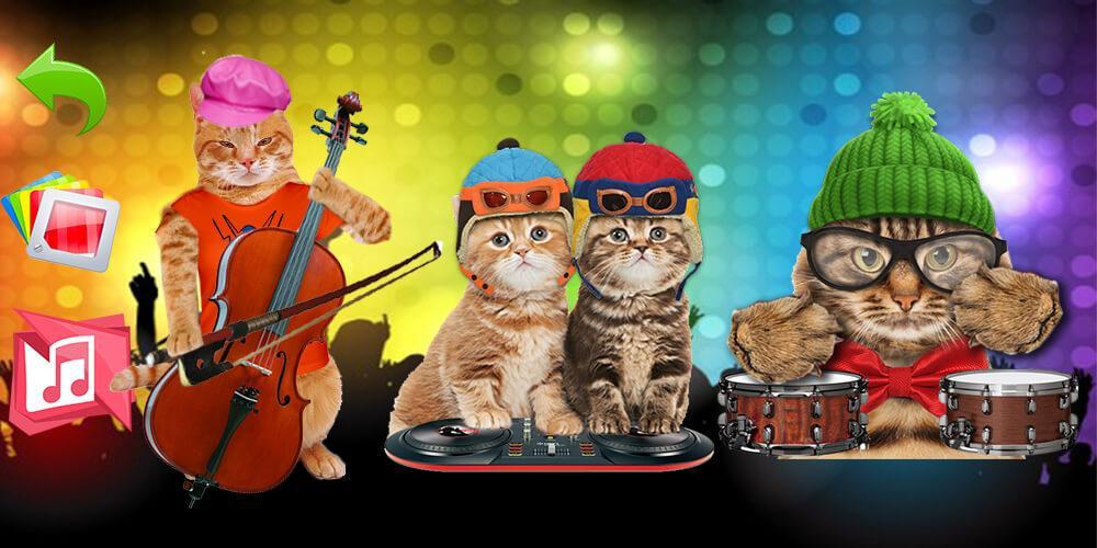 Кэтс плей. Котики с музыкальными инструментами. Коты музыкальная группа. Музыкальные коты игра. Кот из Мьюзик.