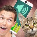 Cat Translator Simulator APK