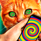 Hypnosis Cat Simulator icône
