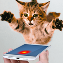 Laser Cat Simulator APK