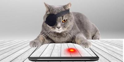 Laser Cat Simulator تصوير الشاشة 1