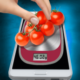 Scales in Phone Simulator APK