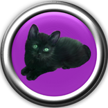 Прикольные звуки котов и кошек