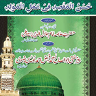 Book 017 Faiz Ahmed Uwaysi icon