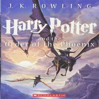 Novel Order of The Phionex ảnh chụp màn hình 1