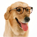 APK Anecdotes of Instinct