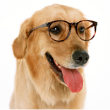 Anecdotes of Instinct