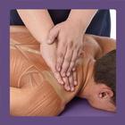 آیکون‌ Anatomy & Sports Massage