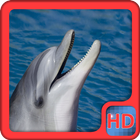 Dolphins Video Live Wallpaper icône