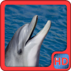 Dolphins Video Live Wallpaper ikona