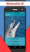 Dolphins Video Live Wallpaper plakat