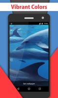 Dolphins Video Live Wallpaper screenshot 2