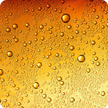 ”Beer Bubbles Video LWP