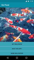 Poster Koi Fish Pond Video LWP