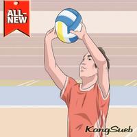 The Best Volleyball Training Technique Poster