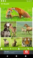 My Pets 截圖 1