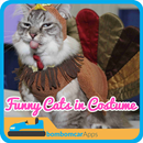 Funny Cats in Costume APK
