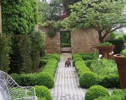 Landscape Design Inspirations captura de pantalla 2