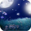 Moon View Photo Frame APK