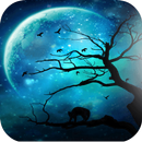 Beautiful Moon Photo Frame APK