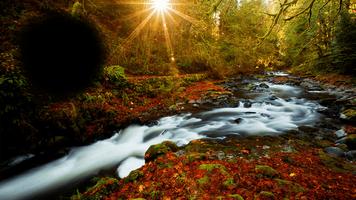 Beautiful Nature Photo Frame imagem de tela 2