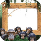 Jungles Photo Frames simgesi