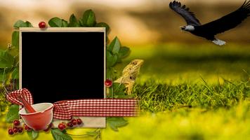 برنامه‌نما Jungles Photo Frames عکس از صفحه