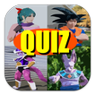 Saiyan DBZ Cosplay Quiz