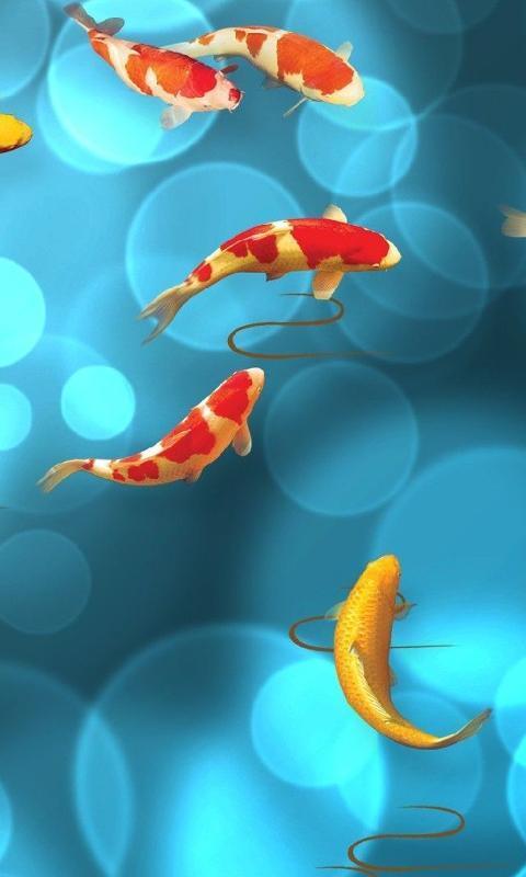 KOI Lucky Fish 3D Theme Wallpaper APK pour Android Télécharger