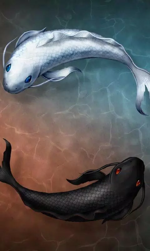 KOI Lucky Fish 3D Theme Wallpaper APK pour Android Télécharger KOI Lucky Fish 3D Theme Wallpaper APK pour Android Télécharger