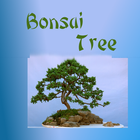 Bonsai Trees App أيقونة