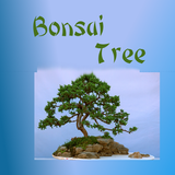 Bonsai Trees App icon