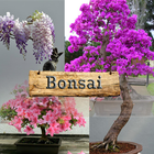 Bonsai simgesi