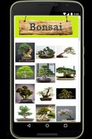 Bonsai screenshot 3