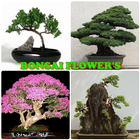 Bonsai Blumen Zeichen