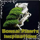 Bonsai Plants Inspirations আইকন