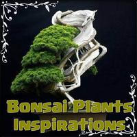 Bonsai Plants Inspirations Affiche