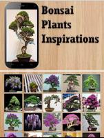 Bonsai Plants Inspirations syot layar 2