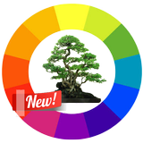 Design Tree Bonsai-icoon