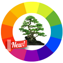 Design Tree Bonsai APK