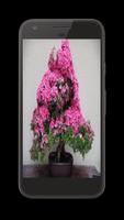 Bonsai Tree Design Ideas Offline Plakat