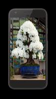 Bonsai Tree Design Ideas Offline ภาพหน้าจอ 1