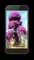 Bonsai Tree Design Ideas Offline স্ক্রিনশট 2