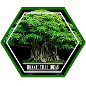 Bonsai Miniatur Pine Gambar Gratis Di Pixabay