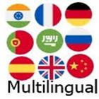 Multilingual icône