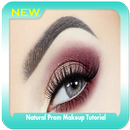 Natural Prom Makeup Tutorial APK