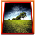 Nature Beauty icon