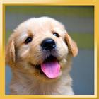 Cute Pups أيقونة