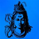 Shiva Puja 3D APK