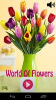 World Of Flowers Affiche